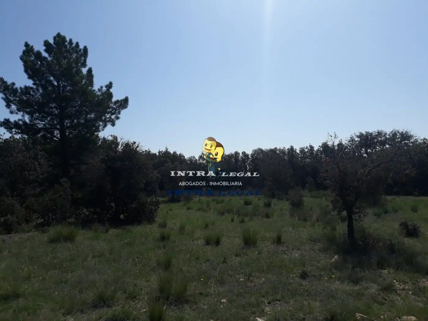 Terreno en venta en Buenavista