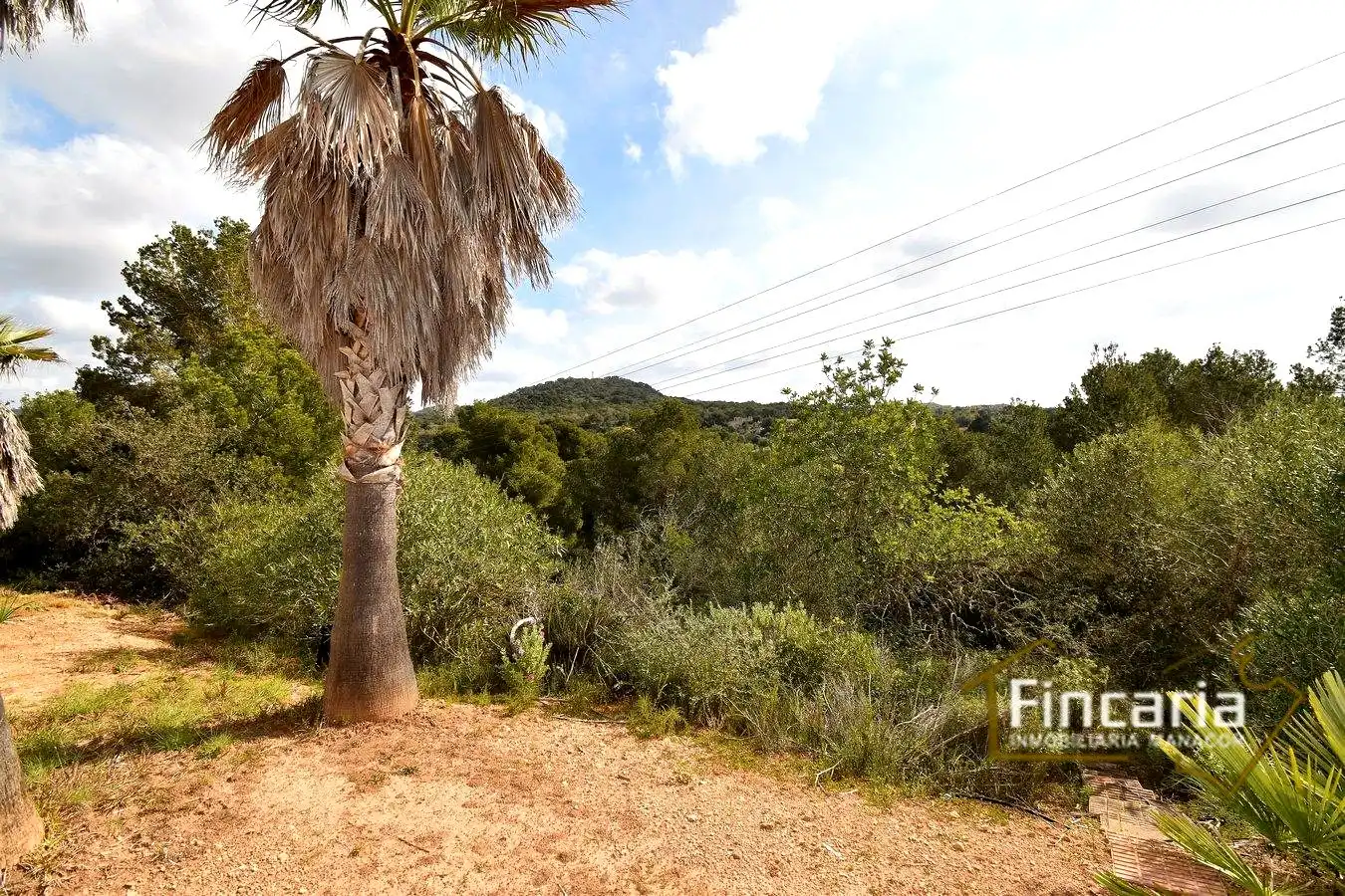 Vista exterior de Finca rústica en venda en Felanitx amb Aire condicionat, Calefacció i Jardí privat