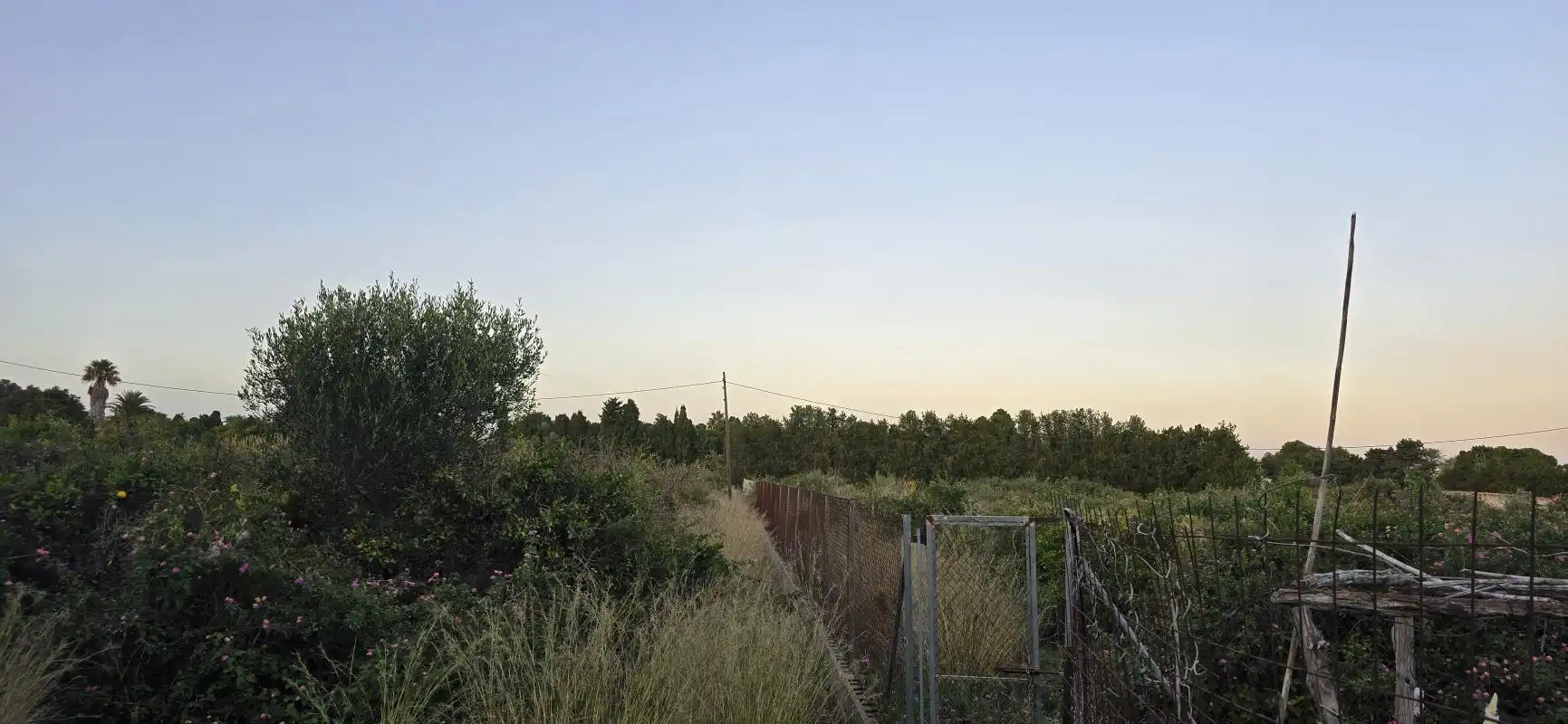 Grundstücke zum Verkauf in Dénia