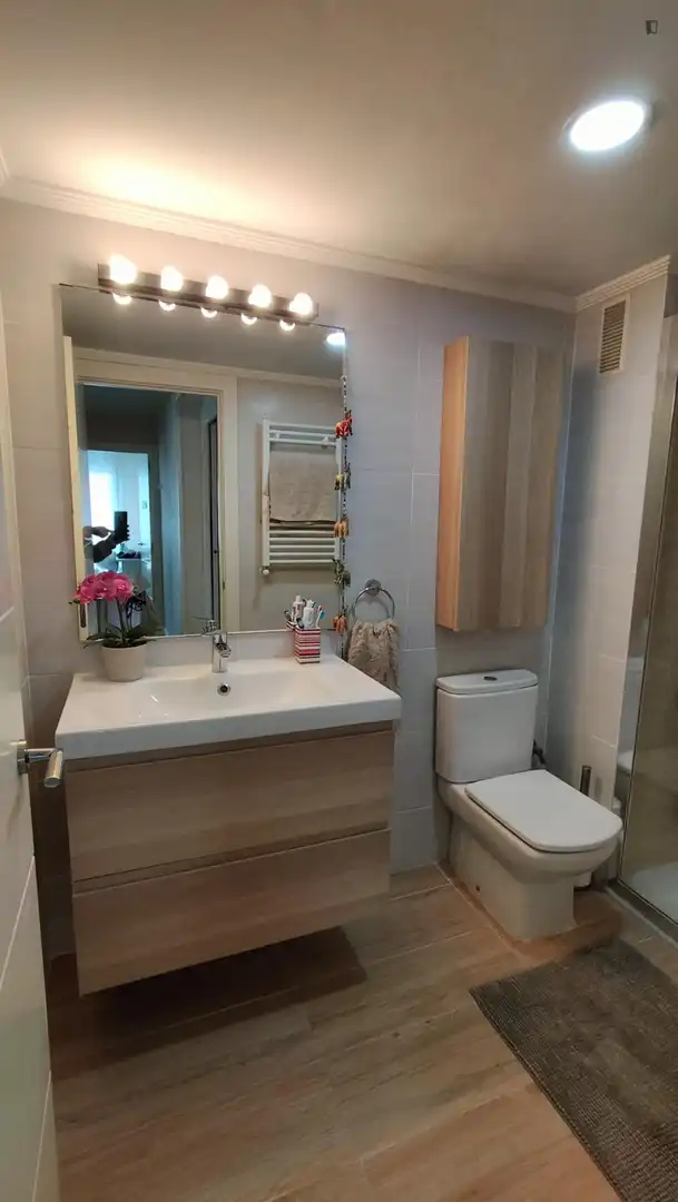 Bany de Apartament per a compartir en Getxo  amb Calefacció, Moblat i Forn