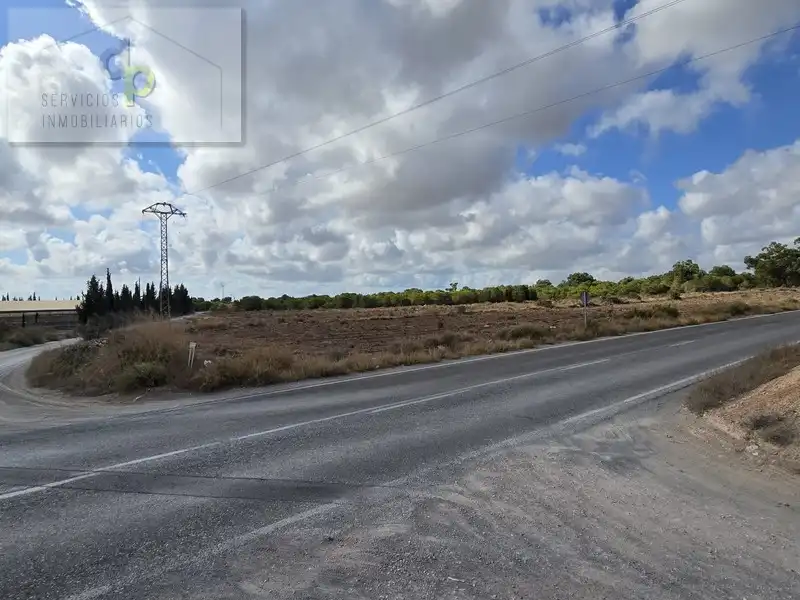Terreno rustico in affitto a N/A 1015A, imagen 5