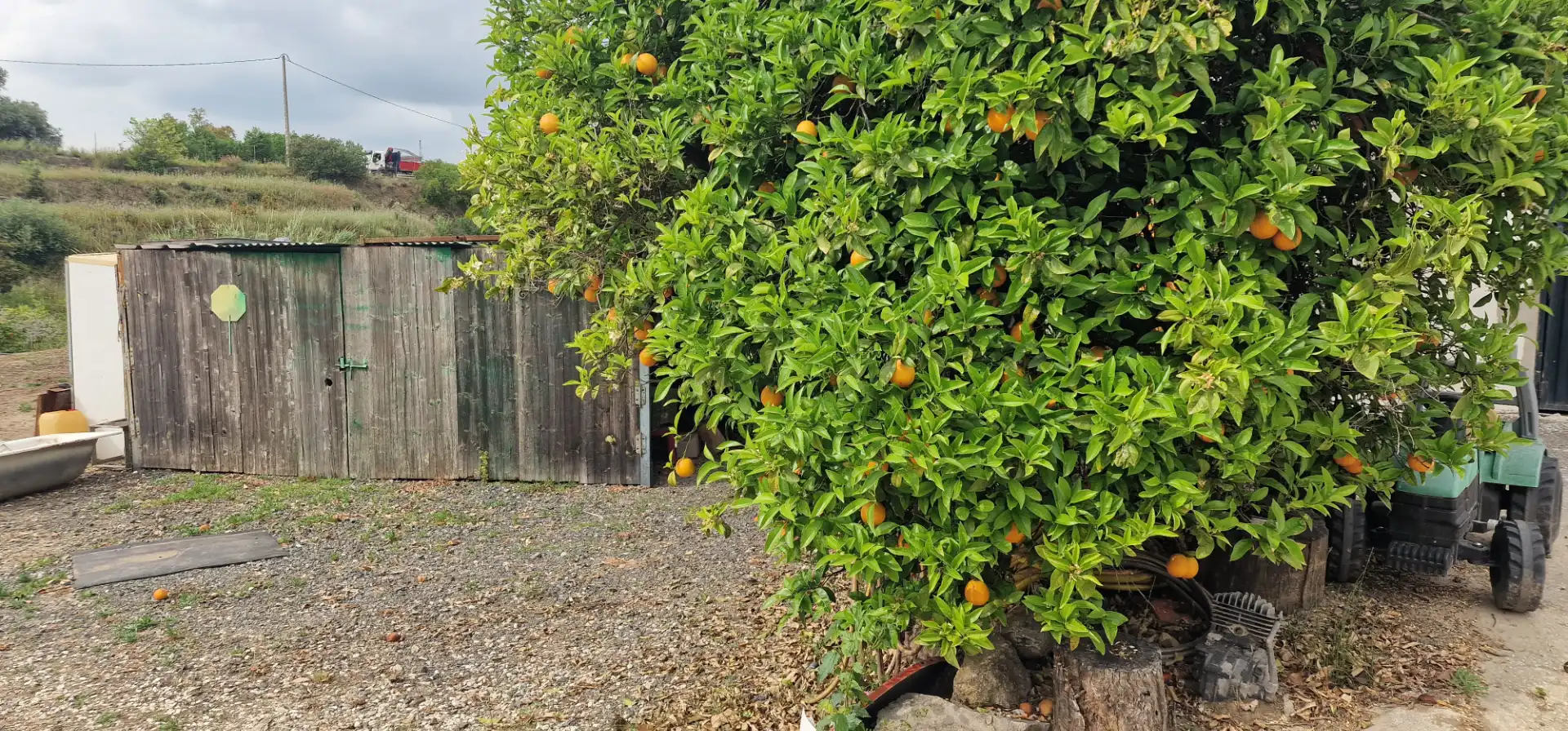 Casa rústica amb jardí en venda a Coín, imagen 36