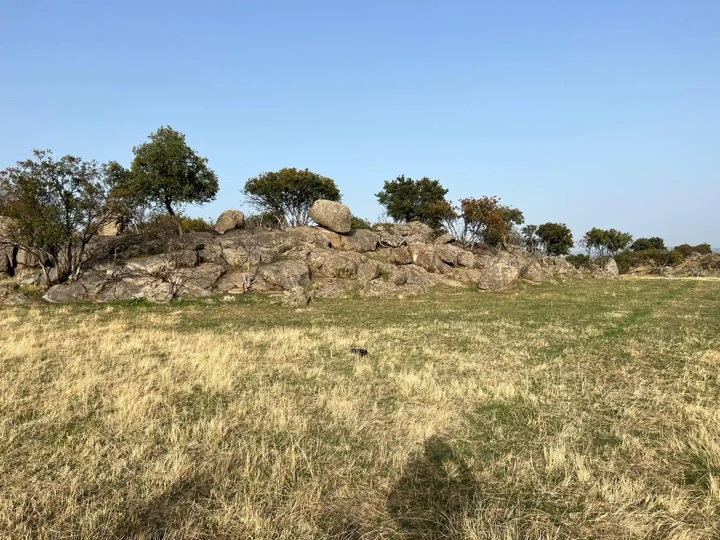 Terreni e lotti in vendita a El Tiemblo, imagen 16