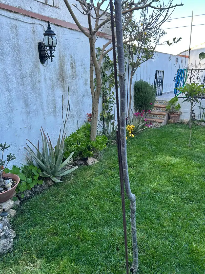 Garden of Detached homes for sale in Villardompardo  with Private garden, Terrace and Storage room