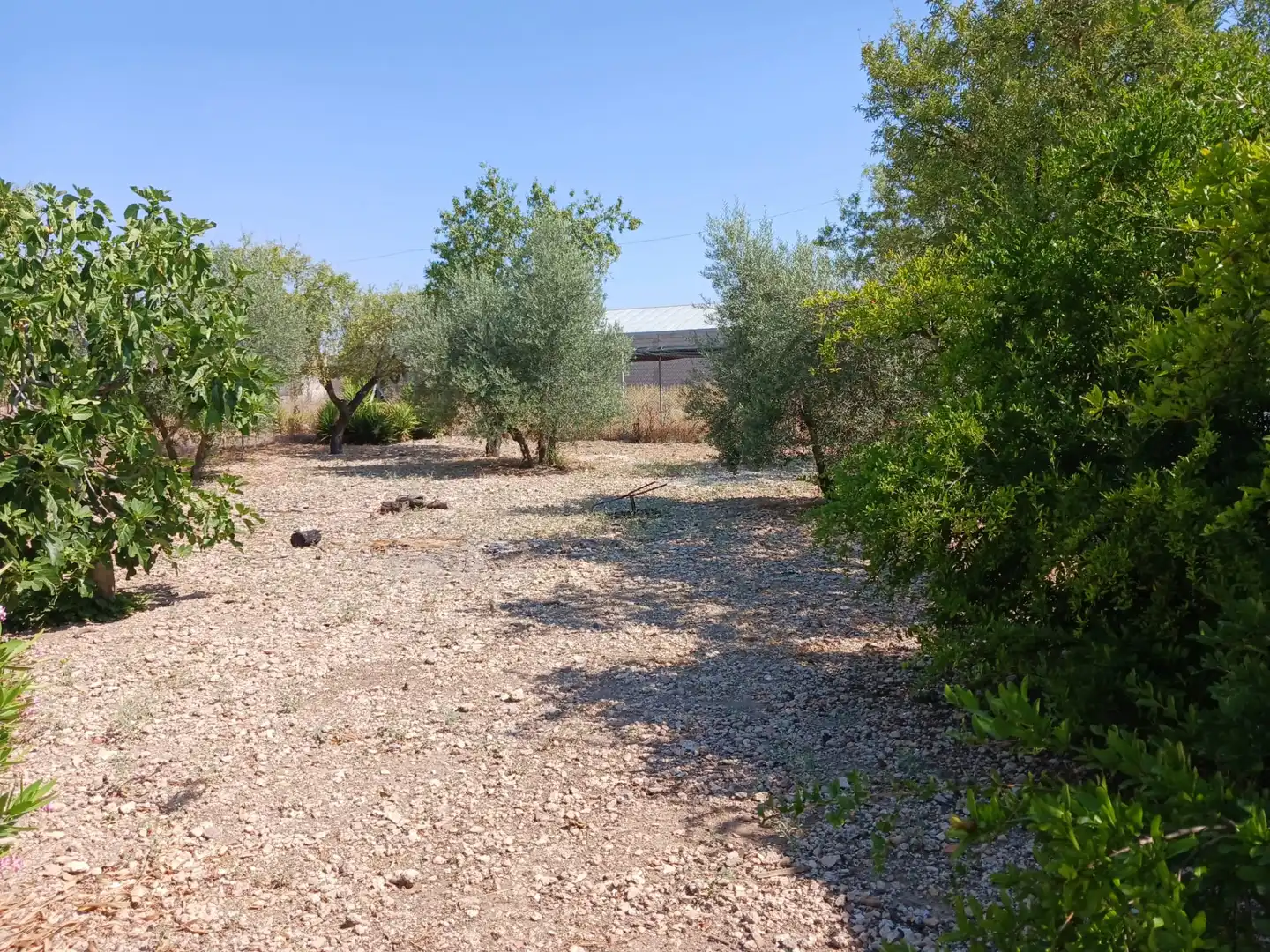 Finca rústica en venta en Ciudad Real con Amueblado