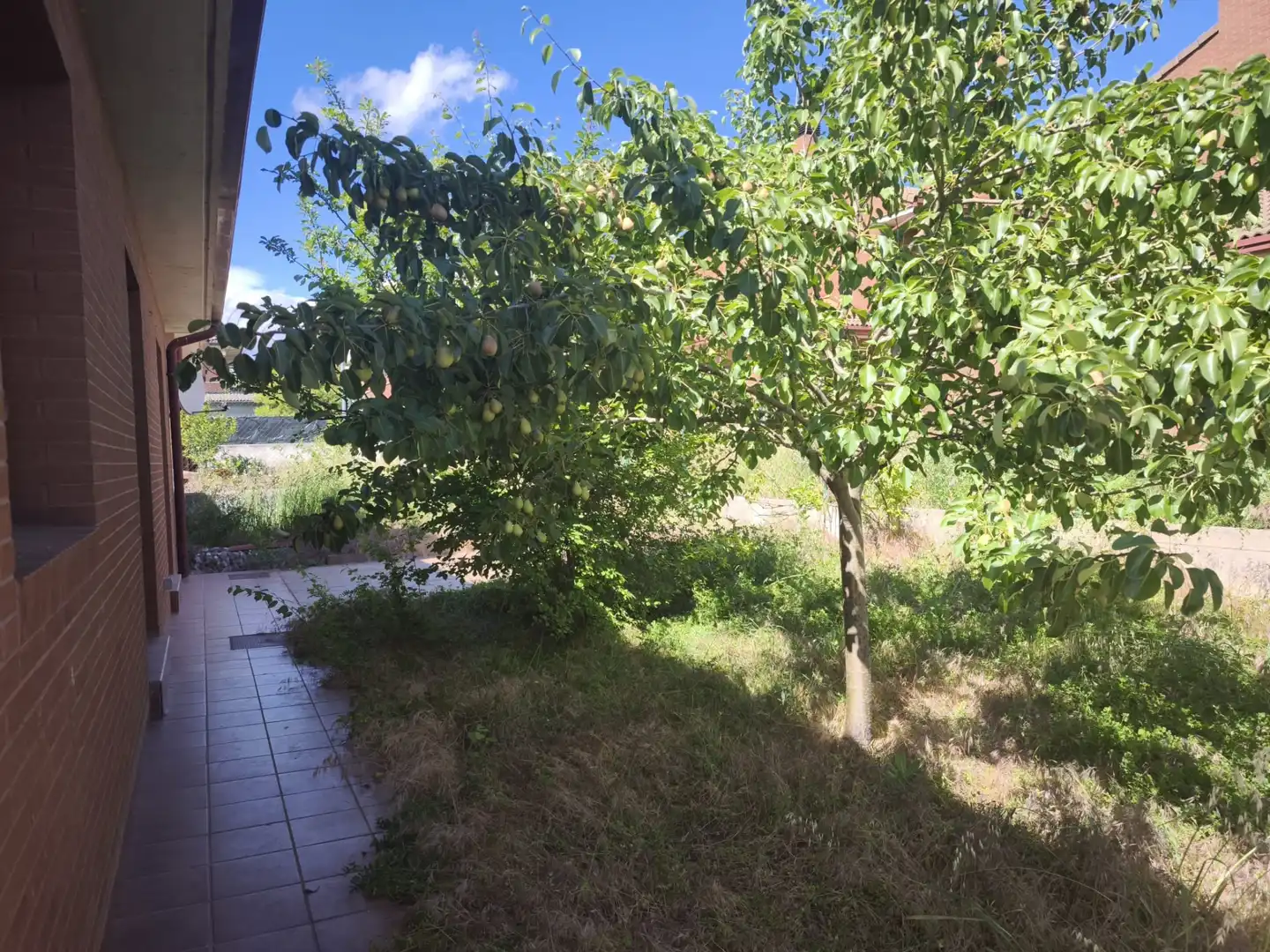Detached homes for sale in Orkoien  with Private garden