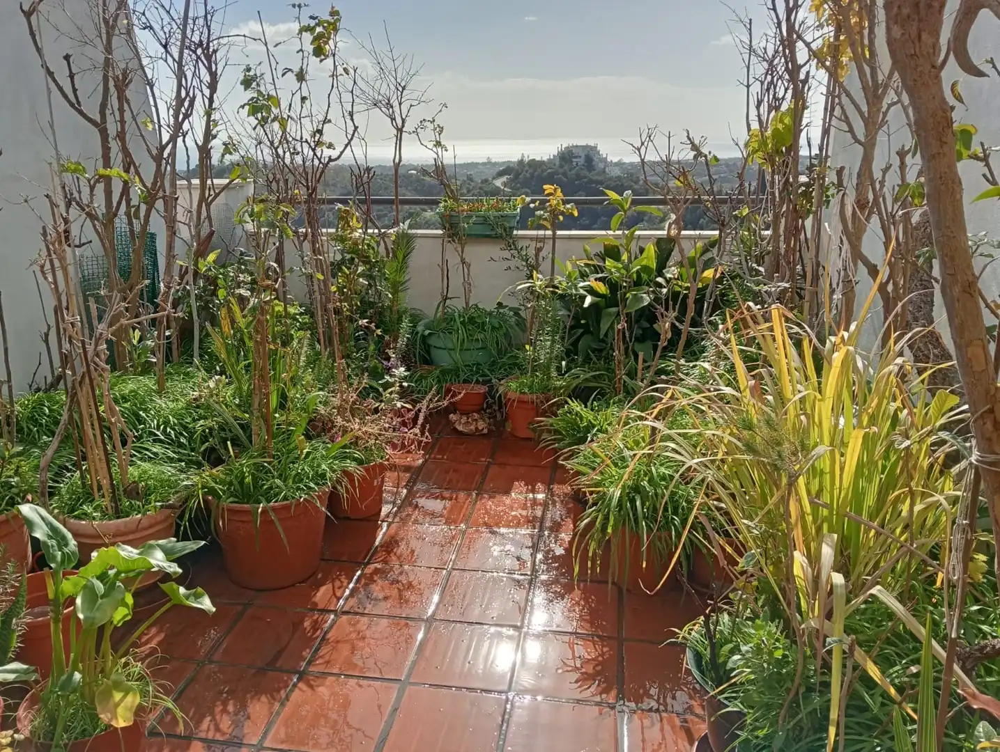 Terrace of Duplexes for sale in Estepona  with Terrace, Swimming Pool and Internet