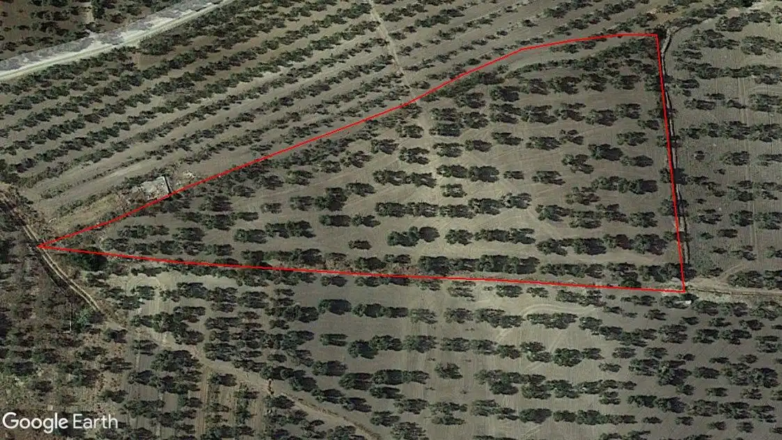 Rural land for sale in Arahal, imagen 2