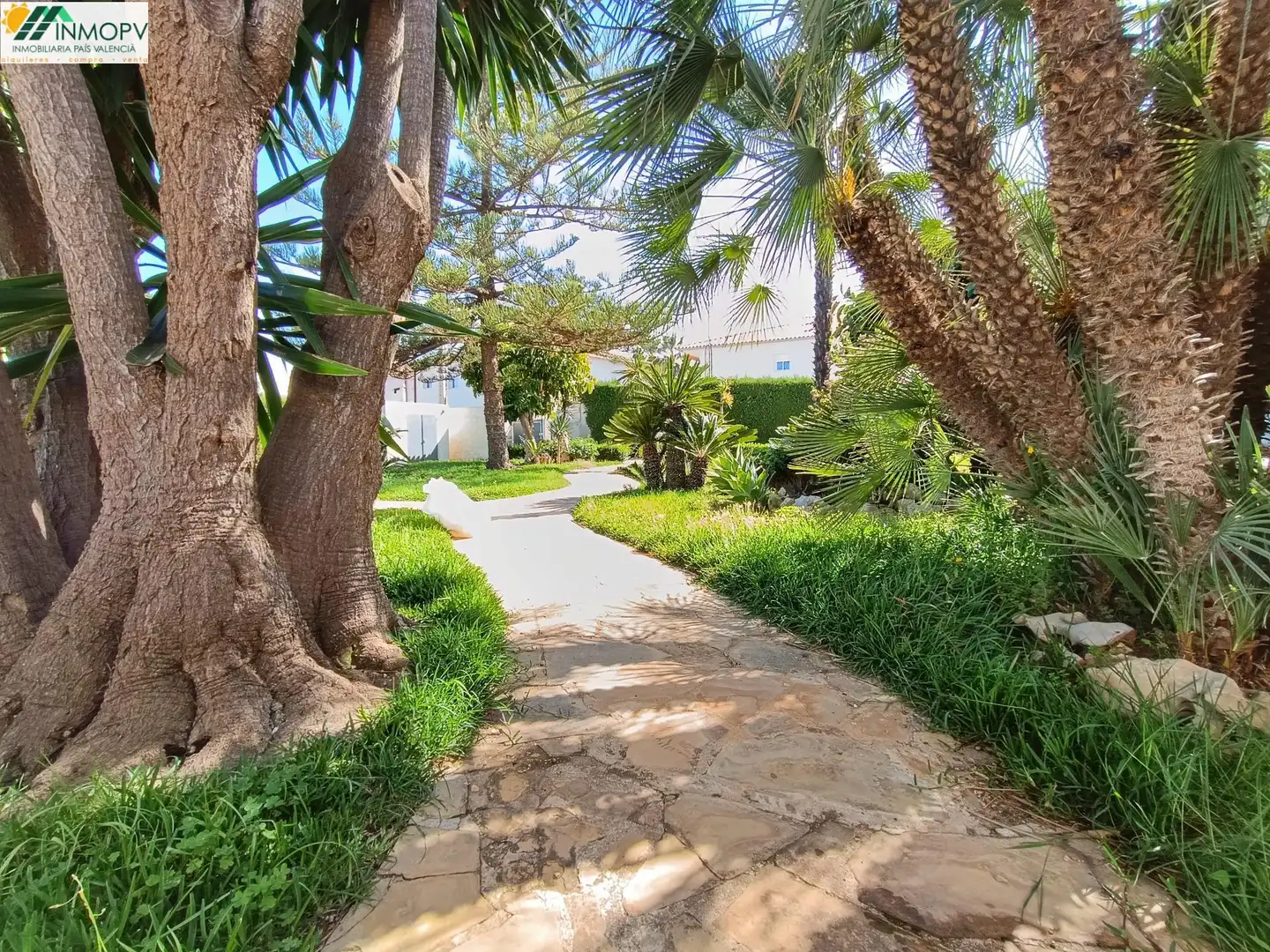Jardí de Casa o xalet en venda en Vinaròs amb Jardí privat, Terrassa i Traster