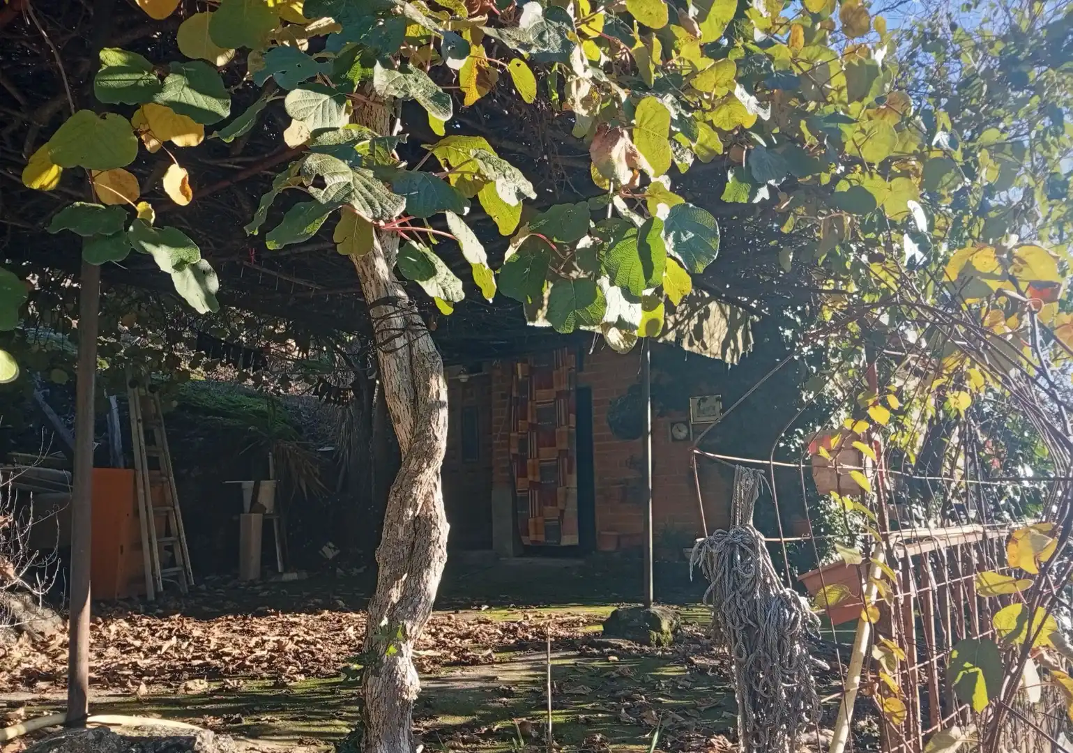 Terreni e lotti in vendita a Villanueva de la Vera, imagen 43