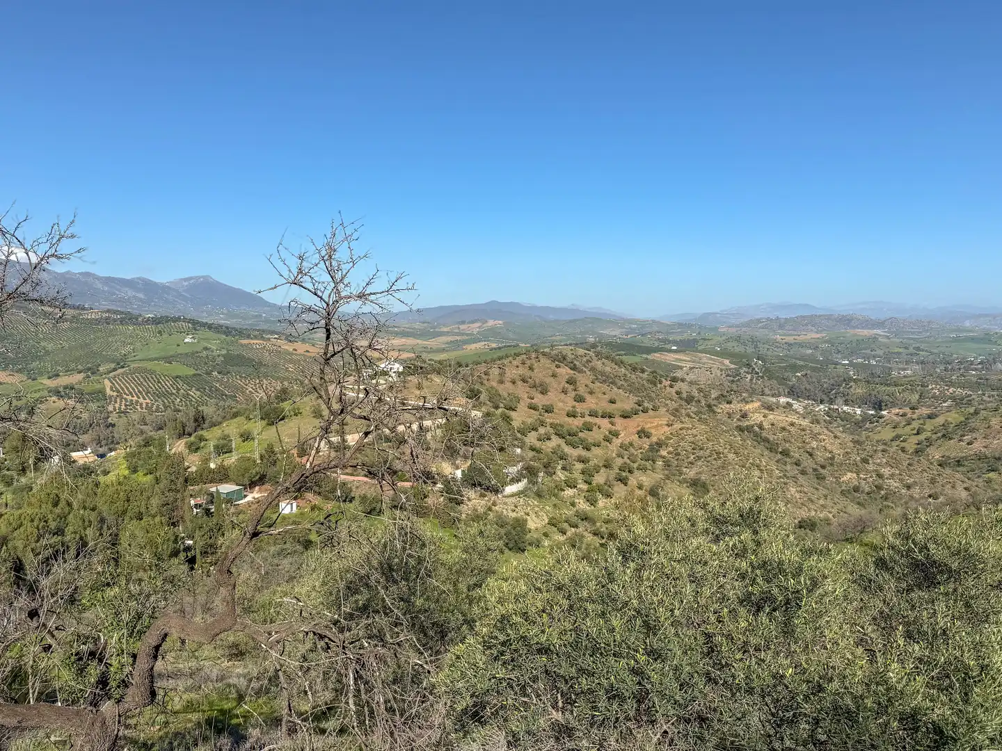 Casa con jardín en venta en Avenida de Andalucía, imagen 26