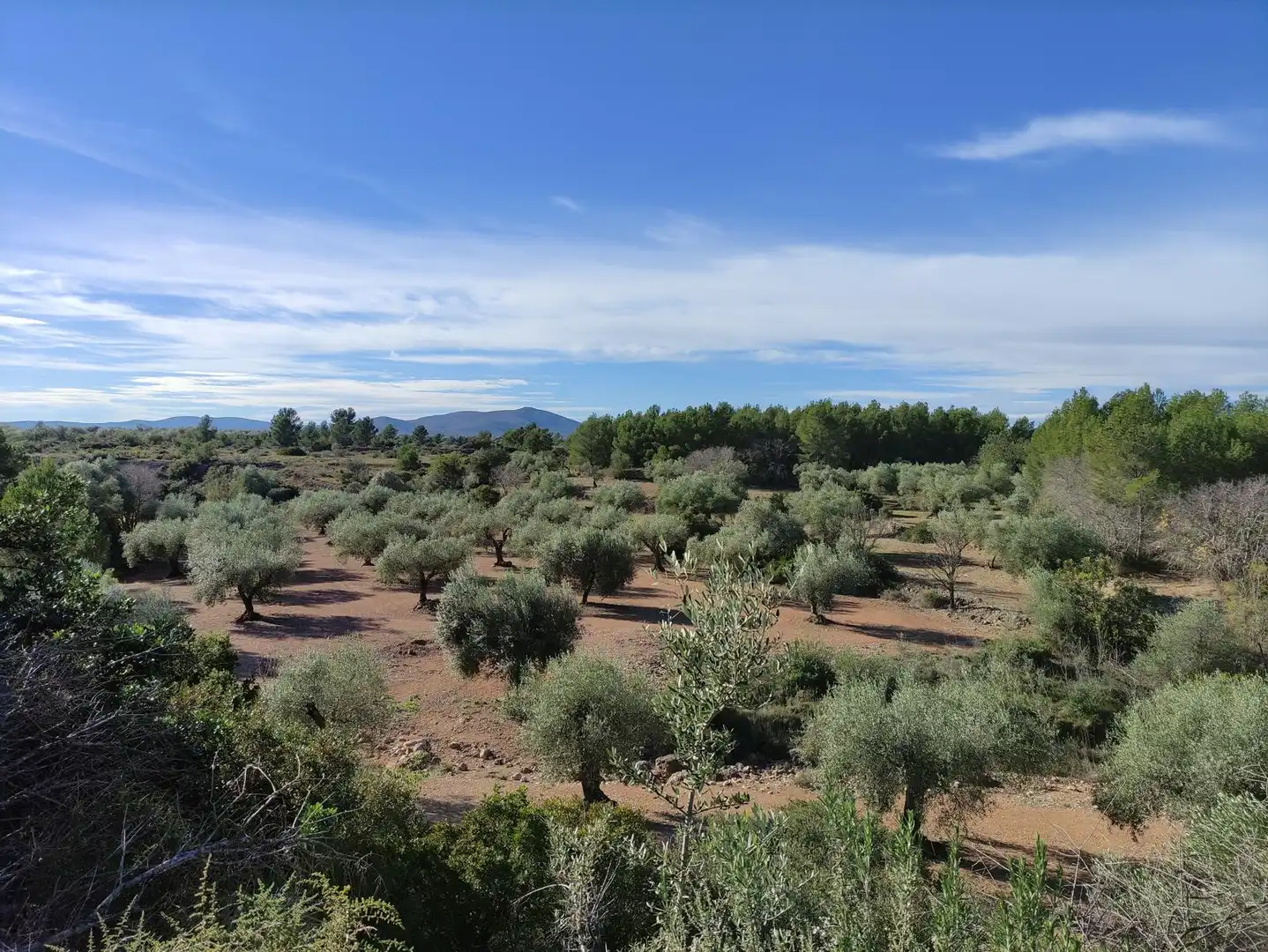 Terreno rustico in vendita a Carrer Verge de Gràcia, imagen 6