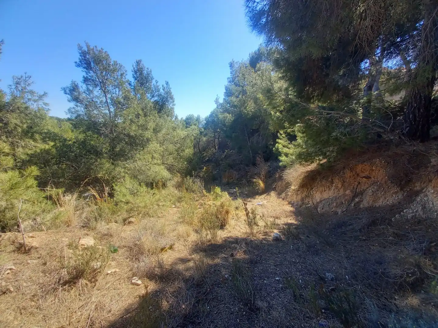 Terrain résidentiel à vendre à Altea la Vella, imagen 6