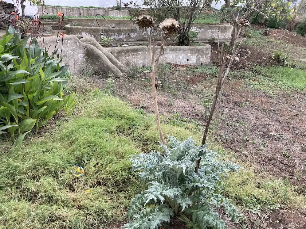Terreni e lotti in vendita a Los Barrios, imagen 9