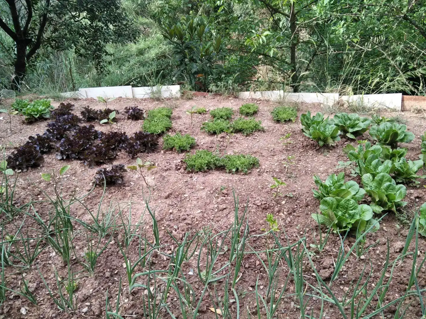 Jardín de Piso en venta en Cervelló