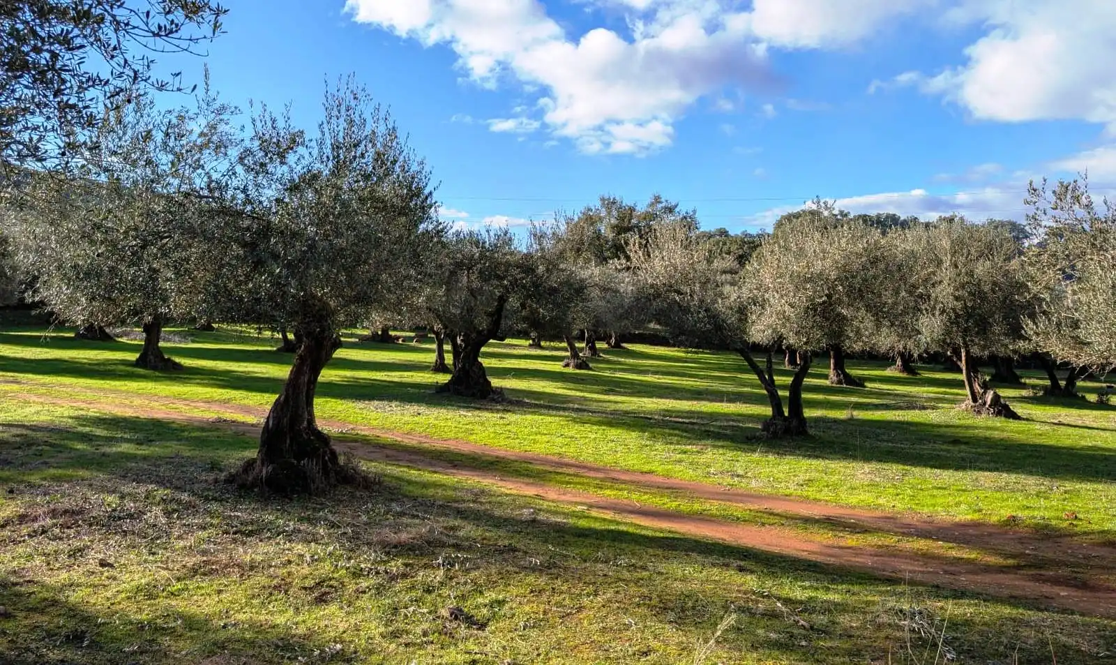 Jardín de Casa o chalet en venta en Puerto Moral con Jardín privado, Terraza y Trastero