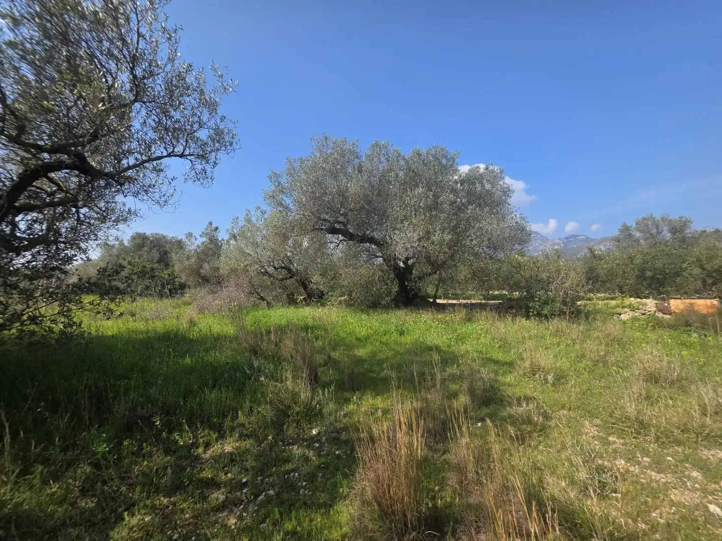 Terreno rustico in vendita a del Polígon Industrial 'La Ravaleta', imagen 39
