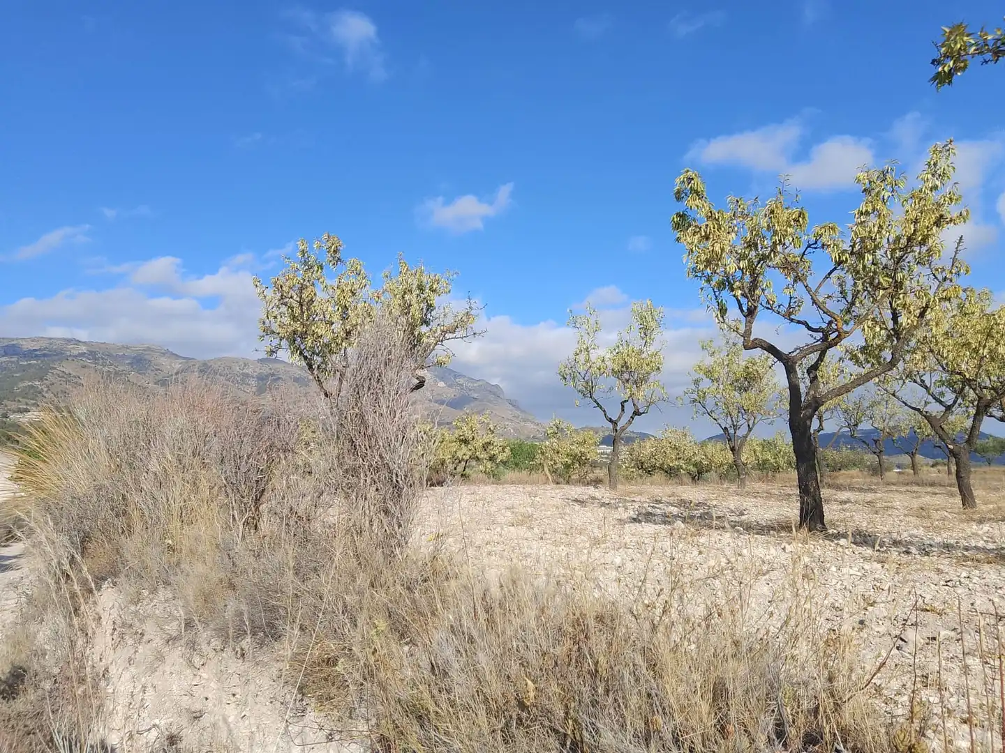 Terreno rustico in vendita a N/A, imagen 109