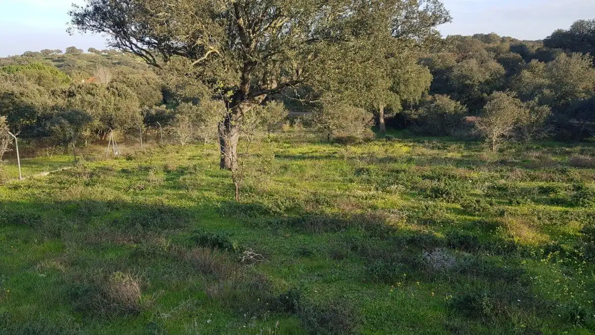 Terreni e lotti in vendita a Calle del Hortelano, imagen 10