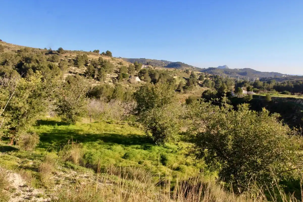 Terreno rústico en venta en Benissa pueblo, imagen 5