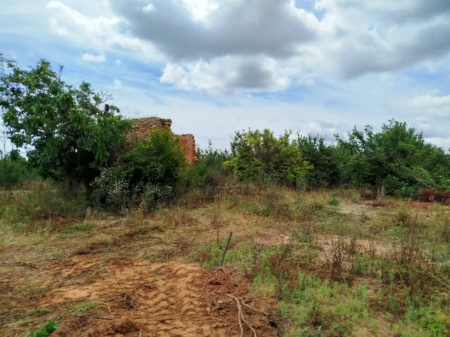 Land for sale in Vilallonga del Camp