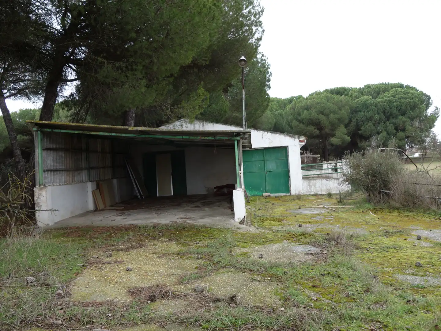 Terreno rustico in vendita a Tudela de Duero, imagen 6
