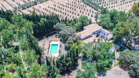 Foto 3 de Finca rústica en venta en Archidona, Málaga