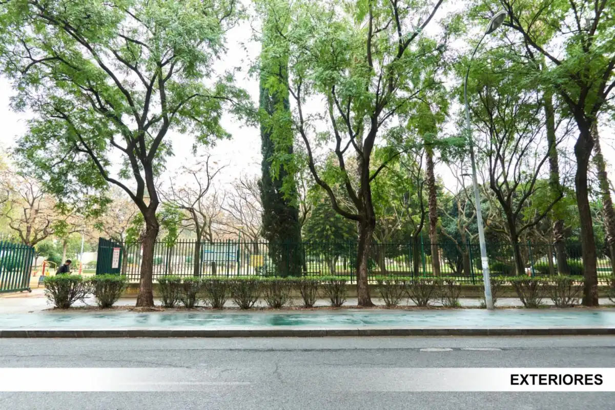 Habitació a Sevilla, Sevilla