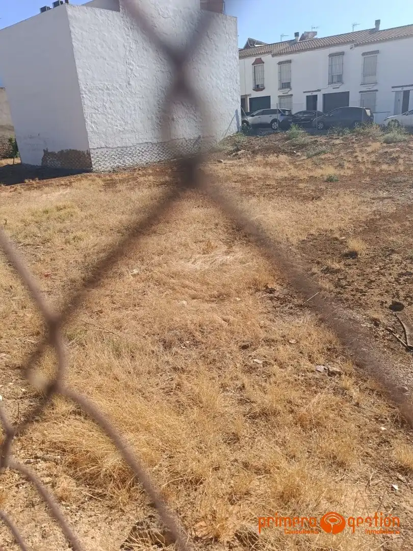 Terreni e lotti in vendita a Carmona, imagen 2