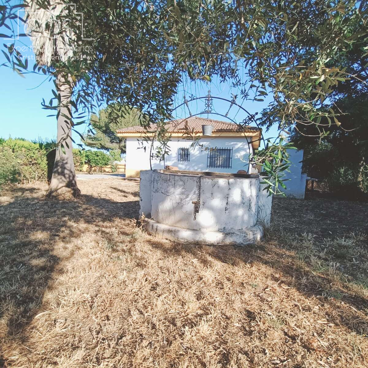 Casa o xalet en venda en Carmona amb Aire condicionat, Jardí privat i Piscina