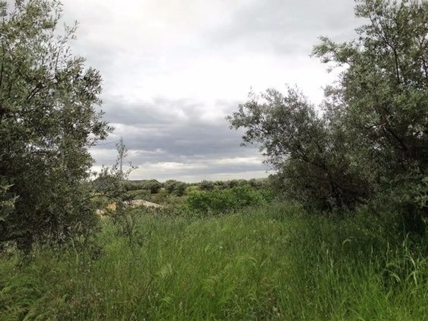 Xalet en venda a Moratalla, imagen 10