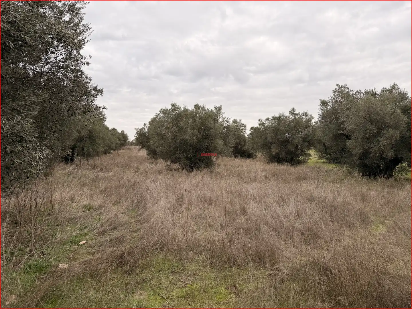 Rural land for sale in La Torre de Esteban Hambrán, imagen 3