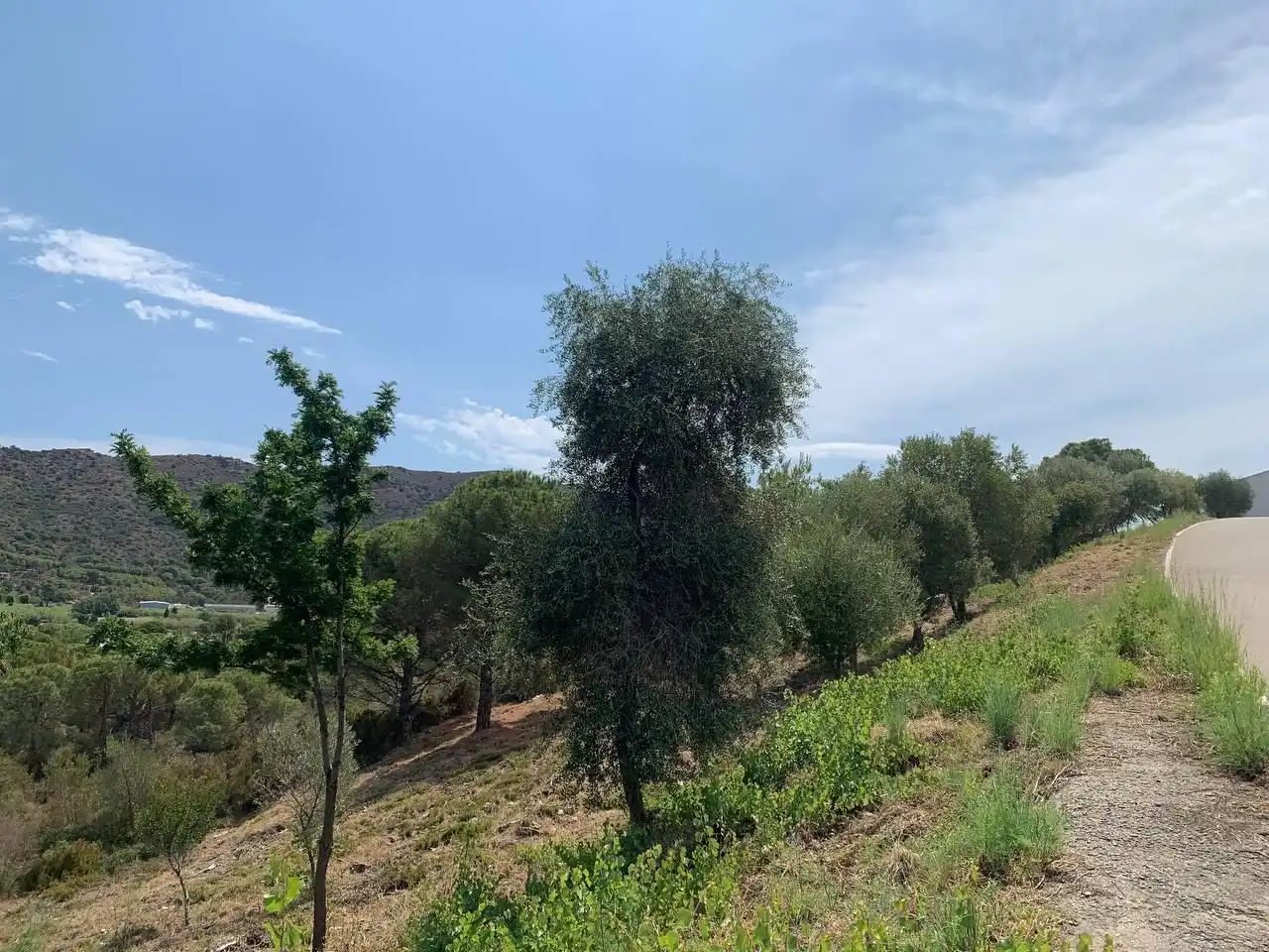 Residential land for sale in GIV-6121, imagen 8