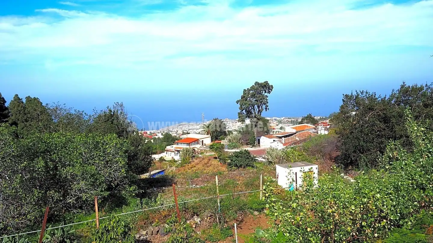 Maison rustique avec terrasse à vendre à La Vega - El Amparo - Cueva del Viento, imagen 30