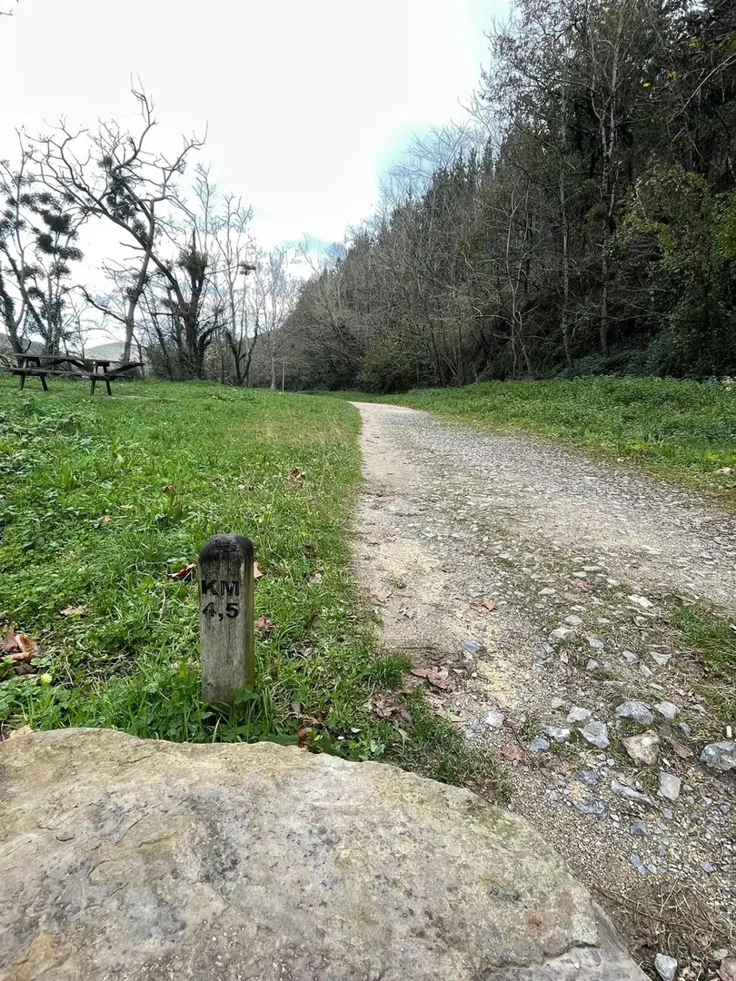 Vista exterior de Finca rústica en venta en Atxondo con Jardín privado