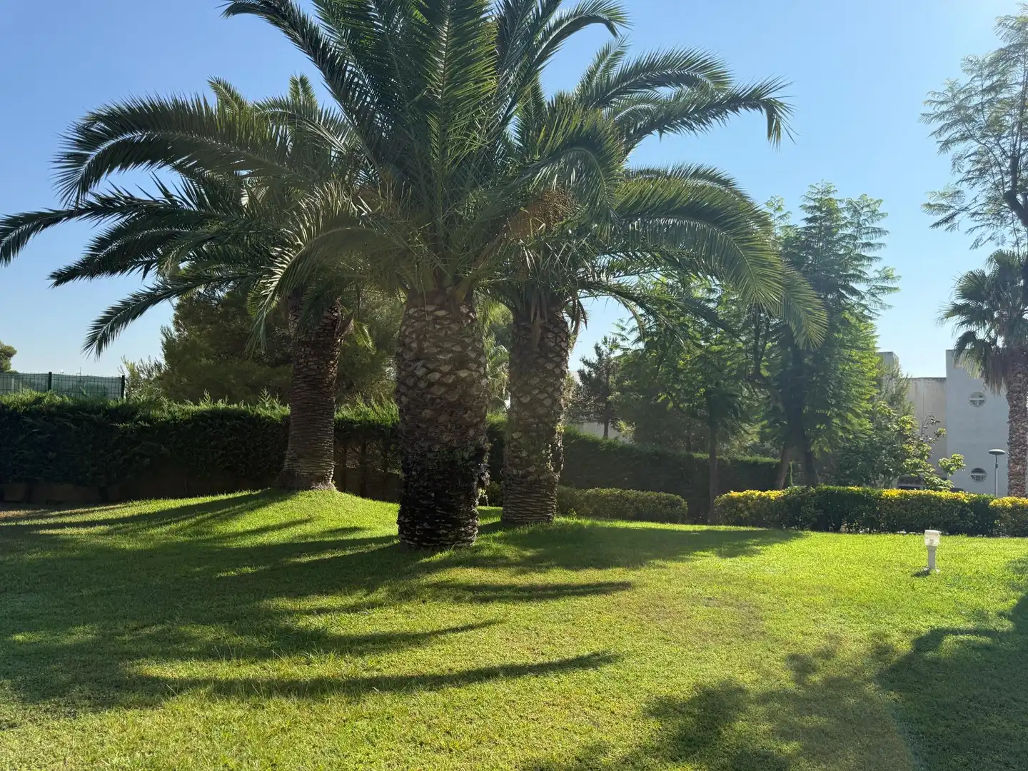 Apartment with terrace for sale in Carrer FONOLL, imagen 57