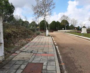 Vista exterior de Terreny en venda en Badajoz Capital