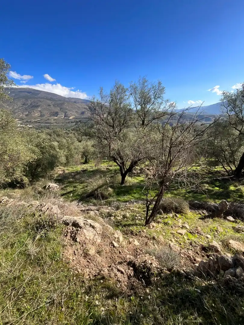 Terreni e lotti in vendita a Solero, imagen 7