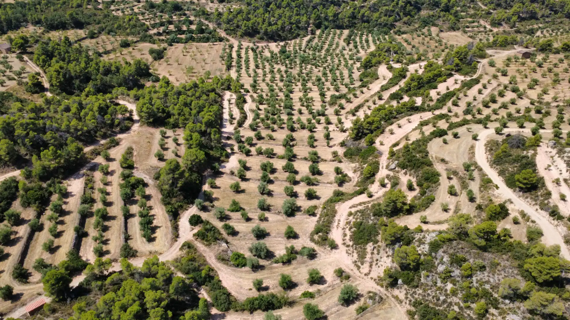 Terreno en venta en Cervià de Les Garrigues