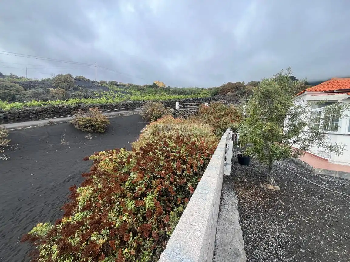 Exterior view of Houses for sale in El Paso  with Private garden and Terrace