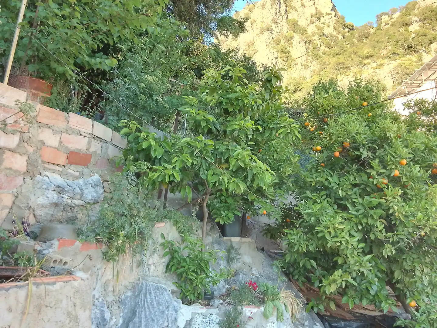 Casa rústica amb jardí en venda a Ubrique, imagen 22