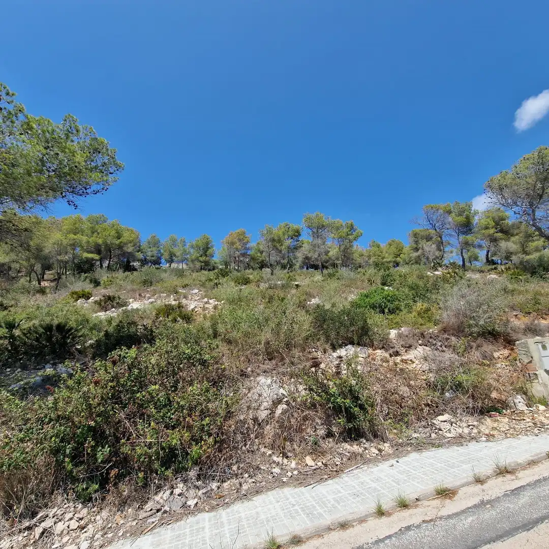 Terreno residencial en venta en Avenida de los Rosales 38, imagen 4