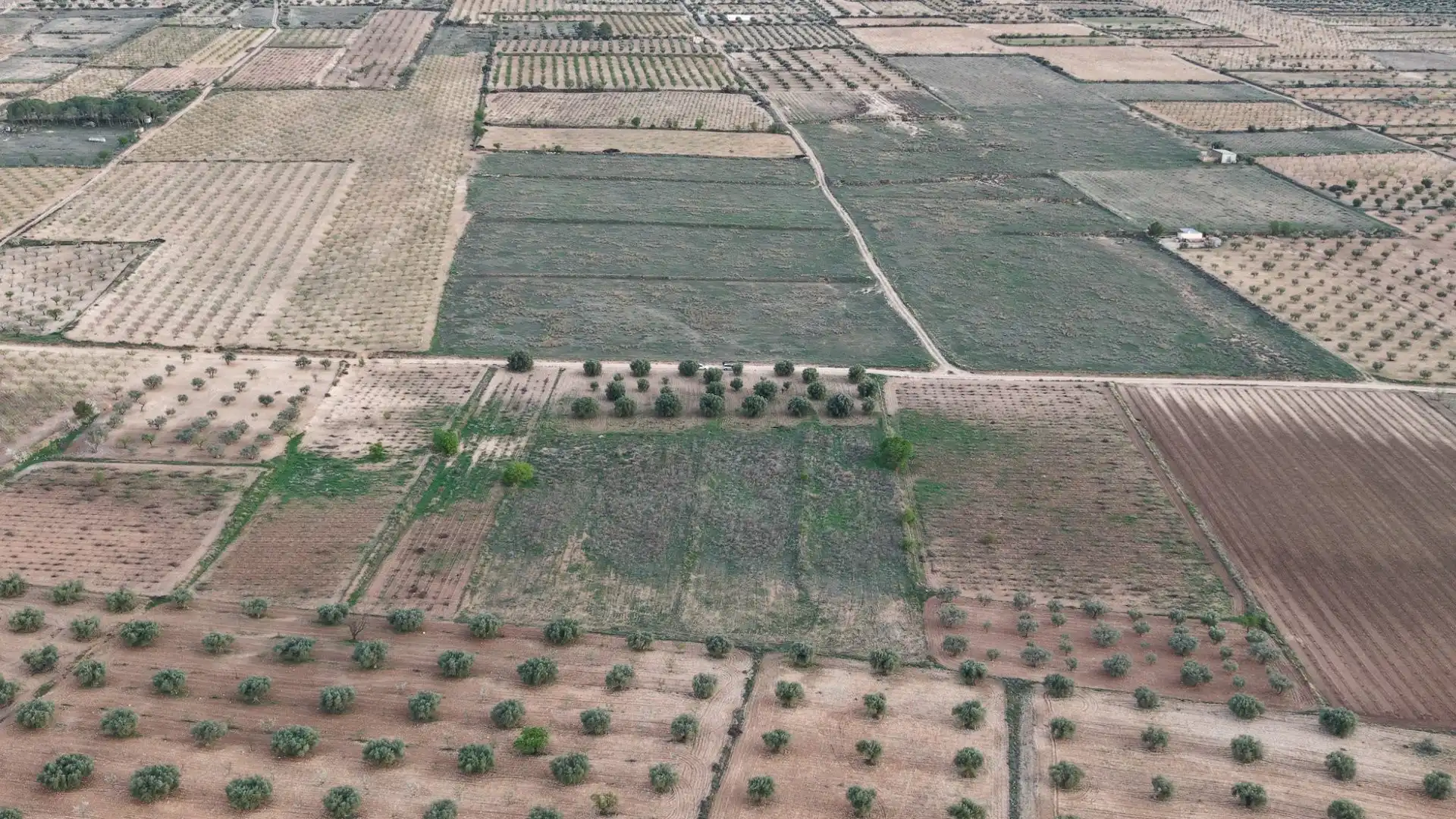 Terrenos y solares en venta en N/A, imagen 10