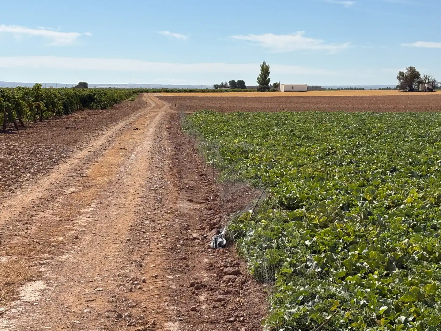 Rural land for sale in CM-400 580, imagen 35