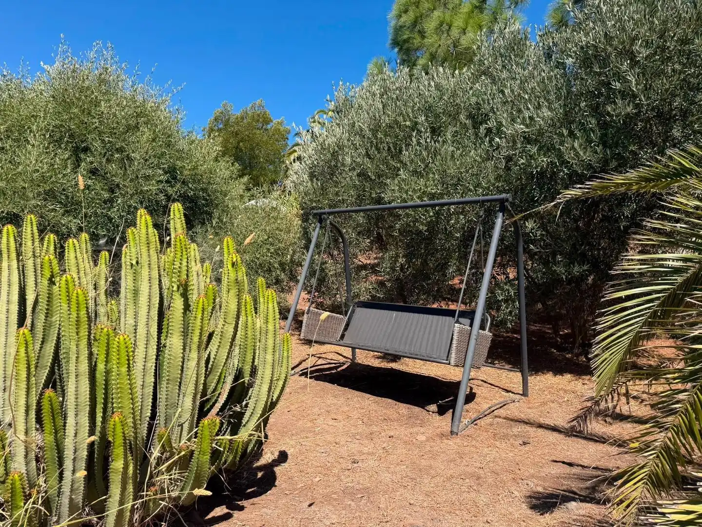 Jardín de Finca rústica en venta en Telde con Aire acondicionado, Calefacción y Jardín privado