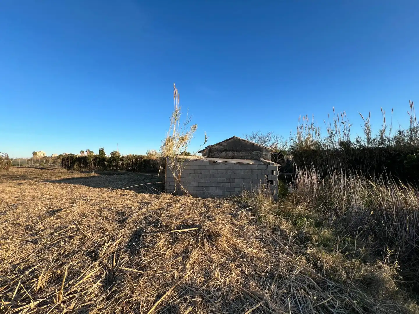 Terrain rustique à vendre à Partida BENEMIS 3, imagen 16
