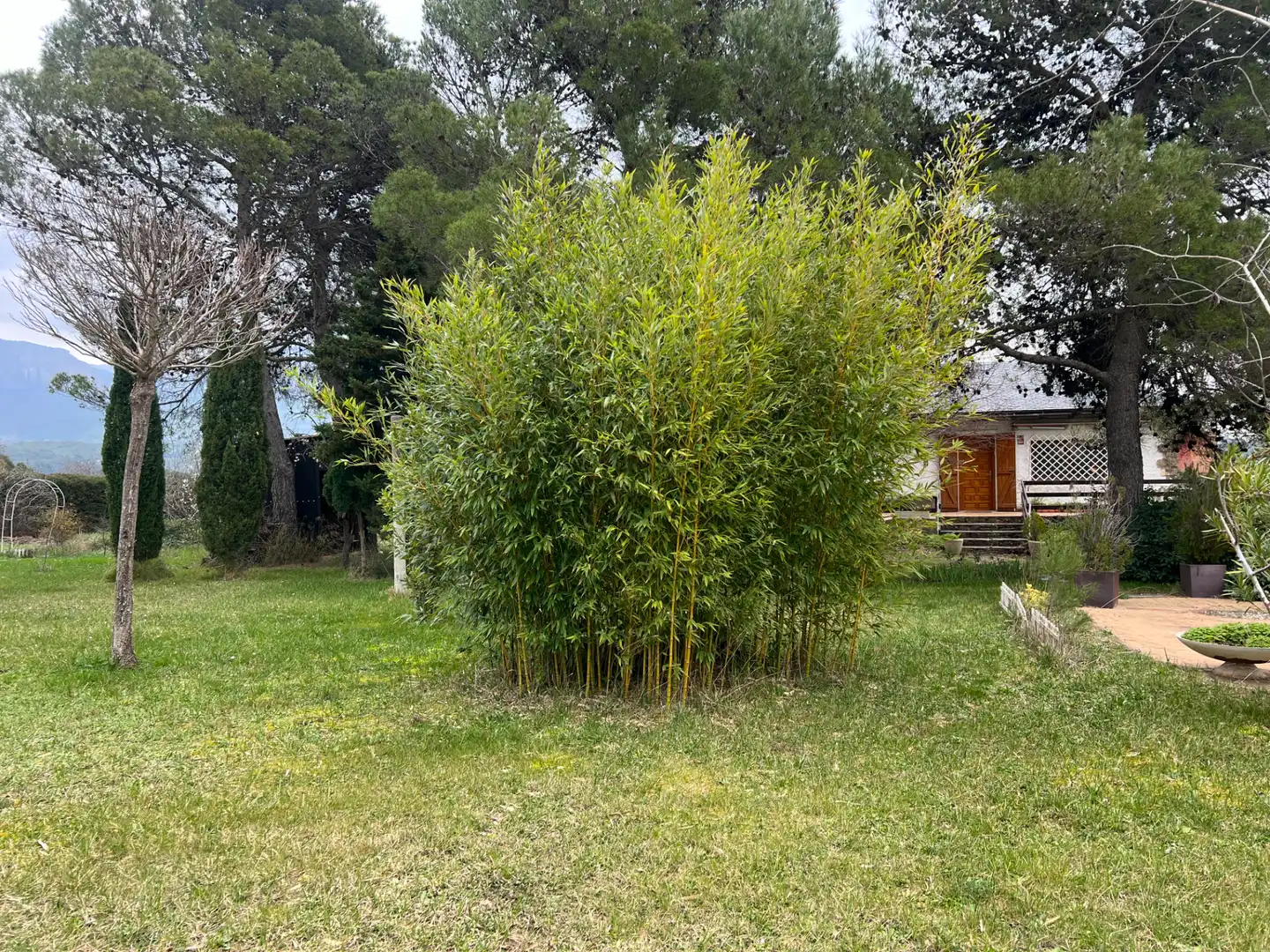 Jardín de Casa o chalet en venta en Murillo de Gállego