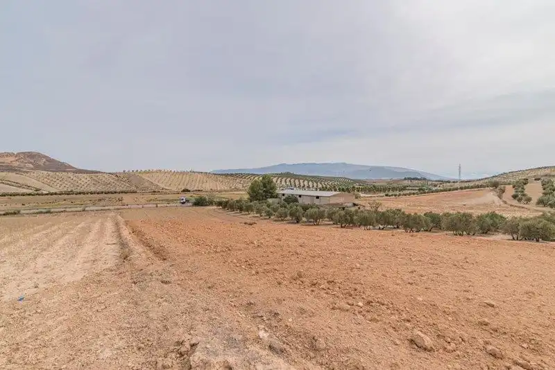 Rustikales Grundstück zum Verkauf in La Malahá, imagen 3