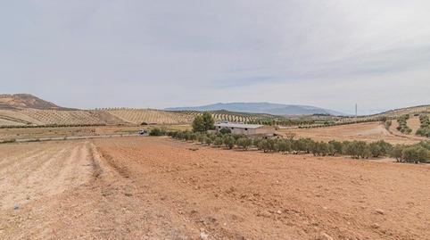 Photo 3 of Land for sale in La Malahá, Granada