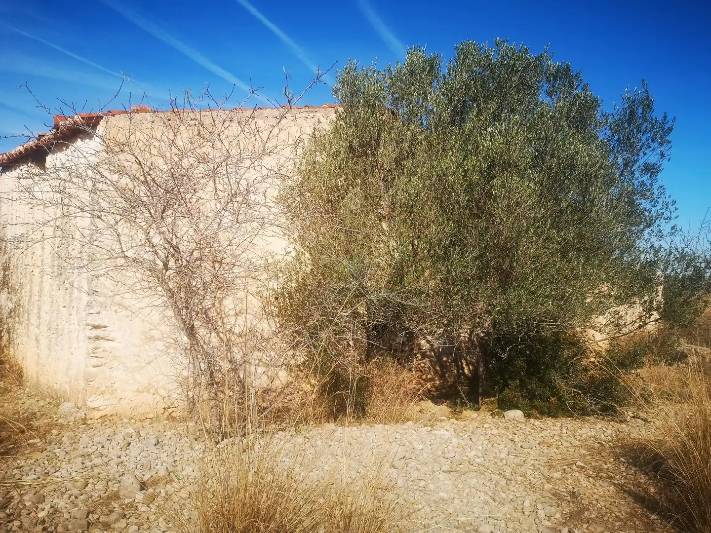 Terreno rustico in vendita a Traiguera, imagen 8